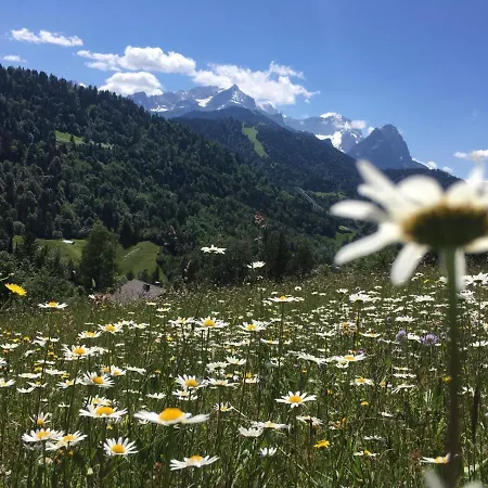 Haus Niklos - Waldeck